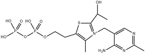 硫胺素（維生素 B1）：