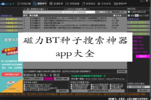 磁力bt种子搜索引擎：释放无限影视娱乐宝库