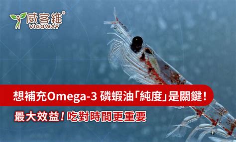 磷蝦油：香港 Omega-3 重要來源