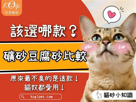 礦砂豆腐砂：砂礦開採的新選擇