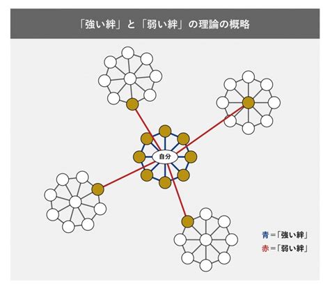 社会的ネットワーク理論: