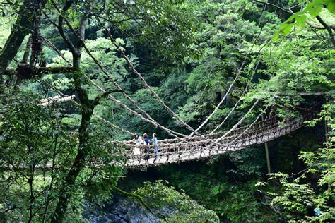 祖谷蔓橋：日本最令人驚嘆的藤蔓橋