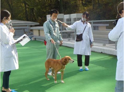 神奈川動物愛護センター: 保護と福祉の拠点