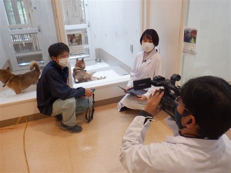 神奈川動物愛護センターのサービス