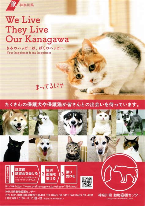 神奈川動物愛護センターガイド: 動物愛好家のための包括的リソース