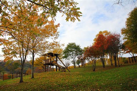 神居の森公園，北海道必訪的自然秘境