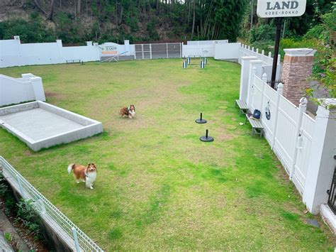 神戸のドッグラン：六甲アイランドで犬と楽しく過ごすためのガイド