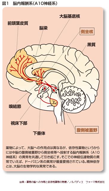 神経系の異常：