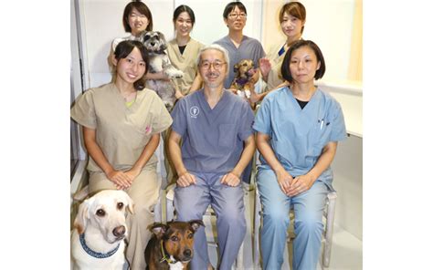 種村獣医科医院でペットの健康と幸せを保つ