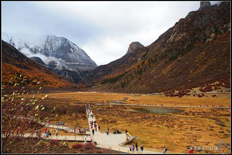 稻城 亞丁 旅行 團