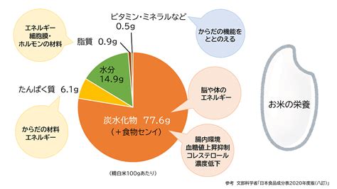 穀物が主成分であること