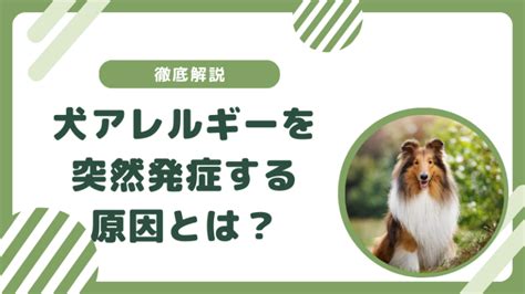 突然襲来！犬アレルギーの恐怖