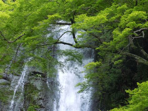 箕面瀑布：大自然の驚異