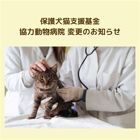 箱崎動物病院のサービス