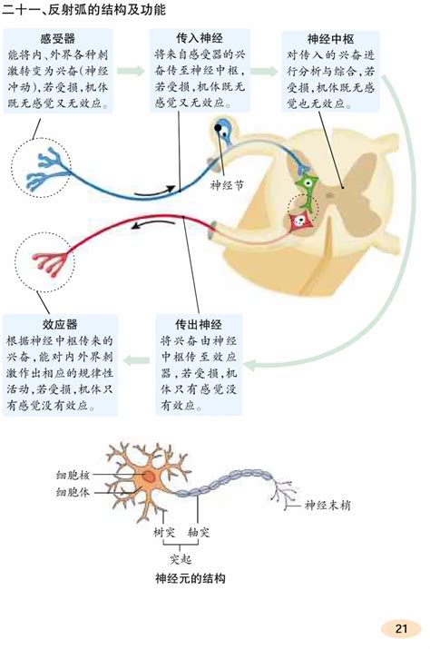 簡單反射：