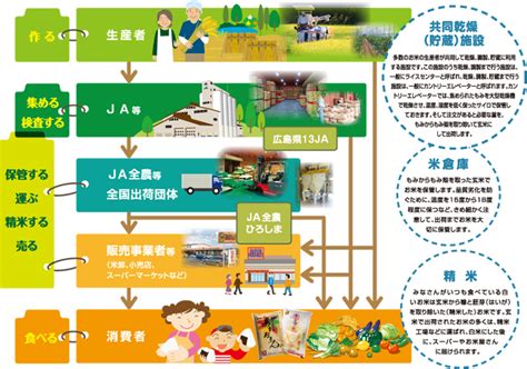 米屋倶楽部：米の知識と健康に関する包括ガイド