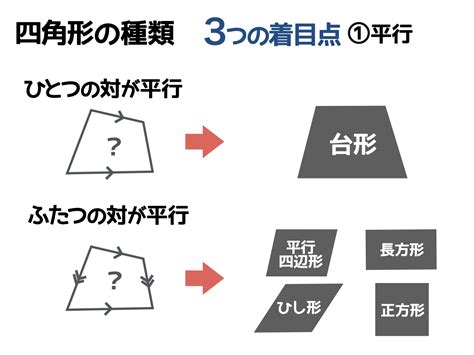 約1辺が成体の小動物1匹分の大きさ