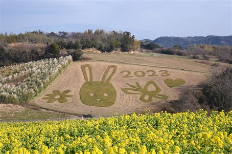 約5,000萬人次國際觀光客湧入