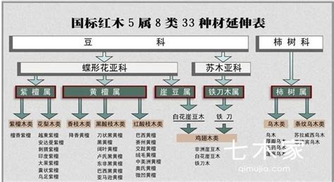 紅木中文：你所不知道的 5 個祕密