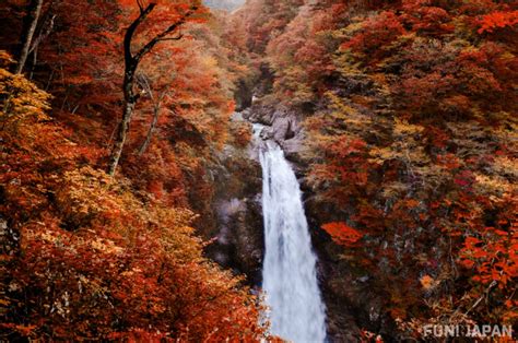 紅葉季的迷人景緻