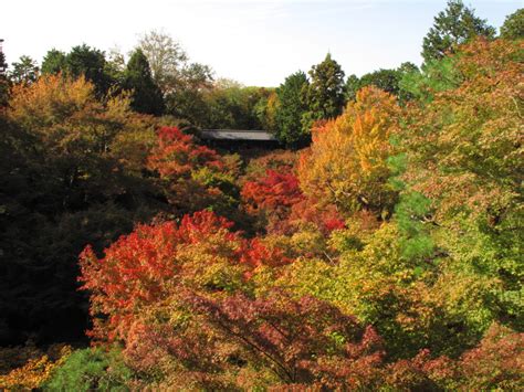 紅葉 館，一個屬於紅葉之名，映射出日本京都之美的地方