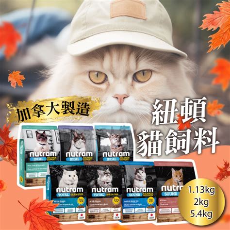 紐頓貓飼料評價：真實飼主親身見證和營養成分分析