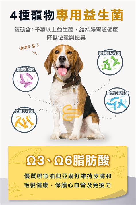 純淨狗飼料：守護愛犬健康的秘密