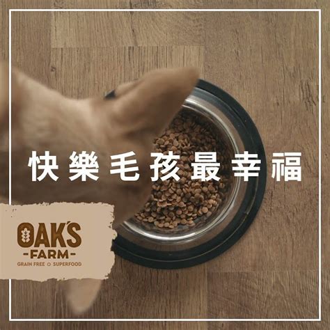 純淨狗飼料：打造愛犬健健康康的飲食之旅