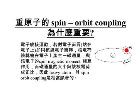 純種狗配方：為什麼重要？