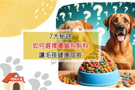 純種狗飼料，守護愛犬健康