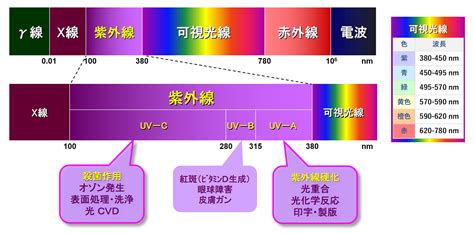 紫外線 (UV)：