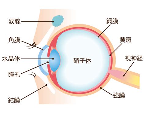 結膜浮腫がひどい時の対処法と予防策