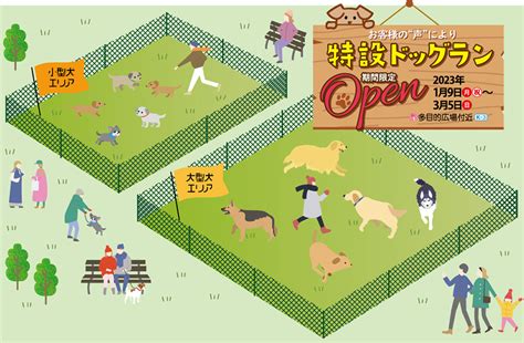 統計によると、ドッグランを利用した犬のストレスレベルは、散歩のみの犬に比べて有意に低いことがわかっています。