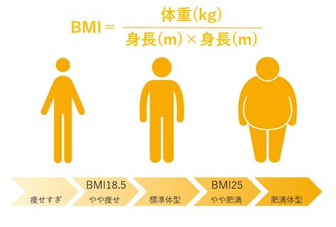 統計によると、肥満は犬の健康に影響を与える最も深刻な問題の 1 つです。アメリカ獣医師会 (AVMA) によると、米国の犬の約 56% が太り過ぎまたは肥満です。