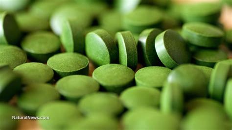 綠藻（chlorella）—— 超級營養藻類的強大健康益處