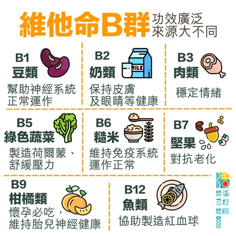 維他命 B 雜的來源和吸收