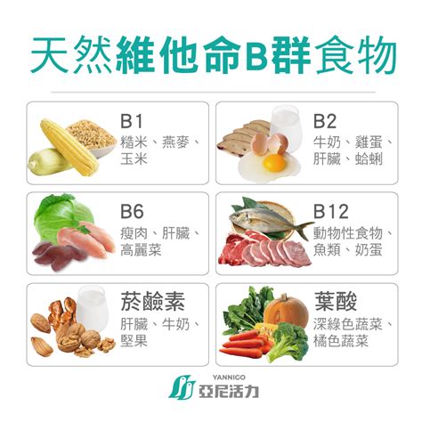 維他命 B 雜：促進能量、大腦和整體健康的關鍵營養素