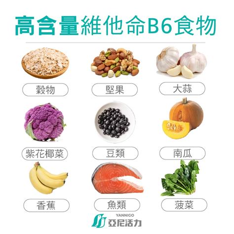 維他命 B6：不可或缺的健康元素