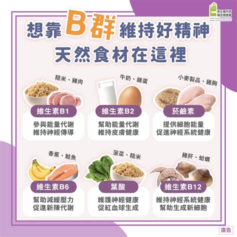 維他命B雜的種類