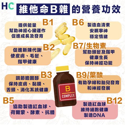 維他命B雜：身心健康的守護者