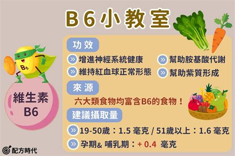 維生素 B6：人體不可或缺的營養素