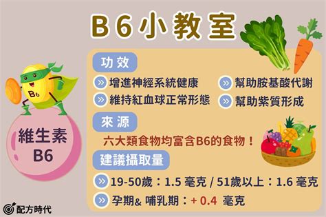 維生素 B6：健康生活不可或缺的營養素