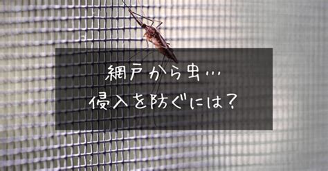 網戸ガード：あらゆる方向からの侵入者、害虫、破片から住まいを守る