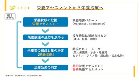 総合的な栄養: