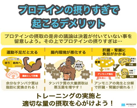 緑の筋肉：毎日のタンパク質摂取量を最大化する究極のガイド