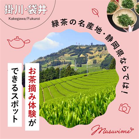 緑茶の名産地