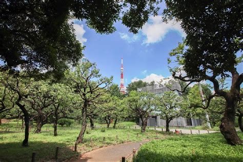 緑豊かな街並み