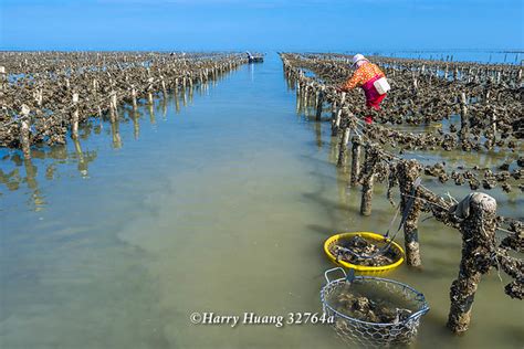 線西鄉，玩瘋彰化海岸！