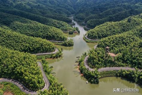 緣起：竹海浩瀚，用途廣泛