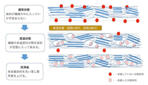 繊維の密度が高い: